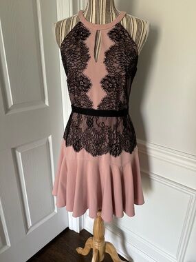 BCBGMaxAzria Leyla Lace Dress Blush Pink Black Fit & Flare Size 6 Cocktail
